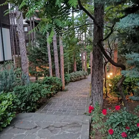 Quiet With Big Terrace In Santa Marina With Parking Apartment